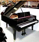 Fl�gel-Grotrian-Steinweg-160-schwarz-106121-1-c