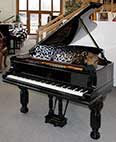 Fl�gel-Steinway-B-211-schwarz-51629-1-c