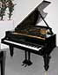 Fl�gel-Bechstein-B-schwarz2-1-b