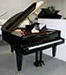 Fl�gel-Grotrian-Steinweg-160-schwarz-51630-1-b